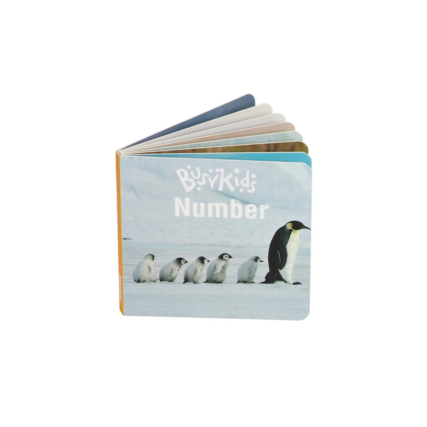 BusyKids Montessori box – 24-36 maanden