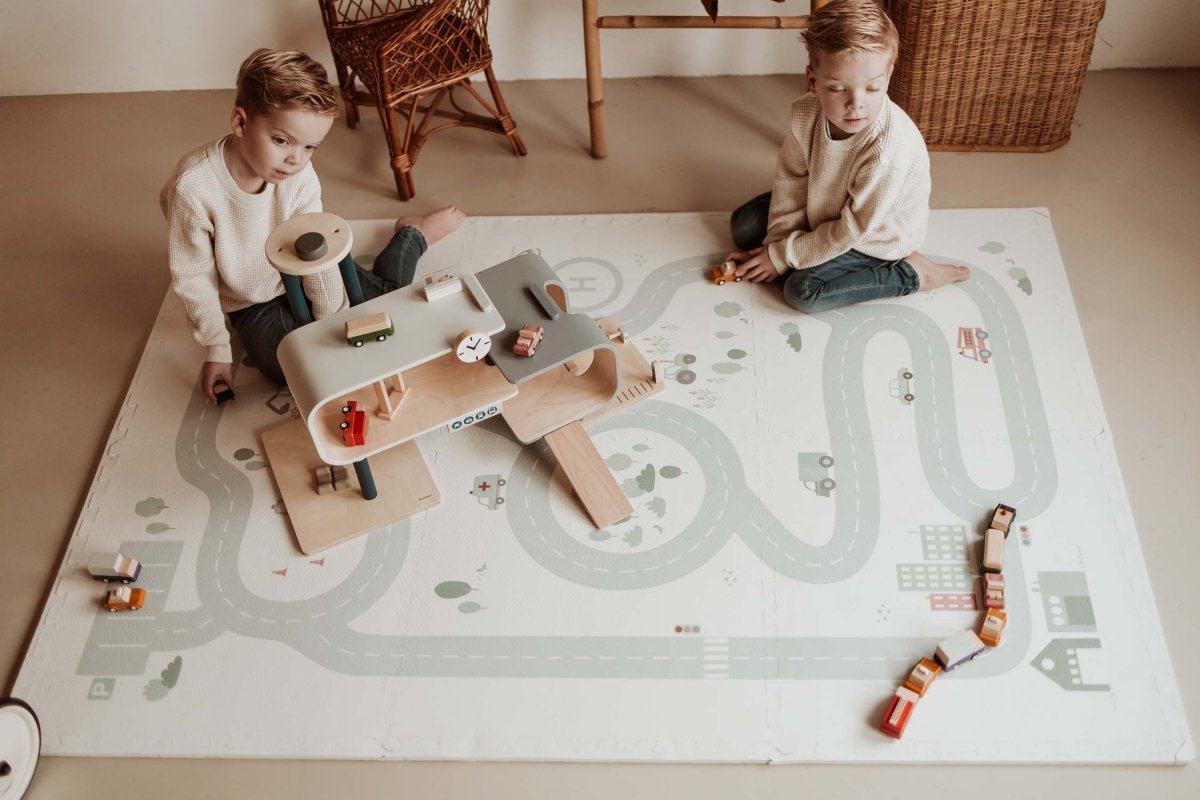 EEVAA Roadmap - Icons puzzlemat - 